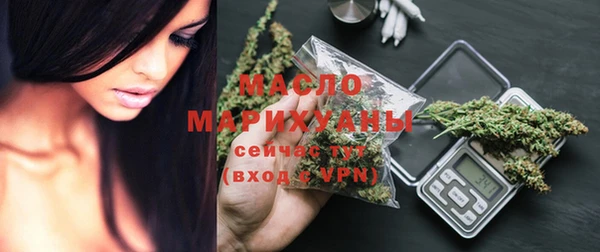 гашик Верея