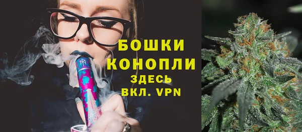 гашик Верея